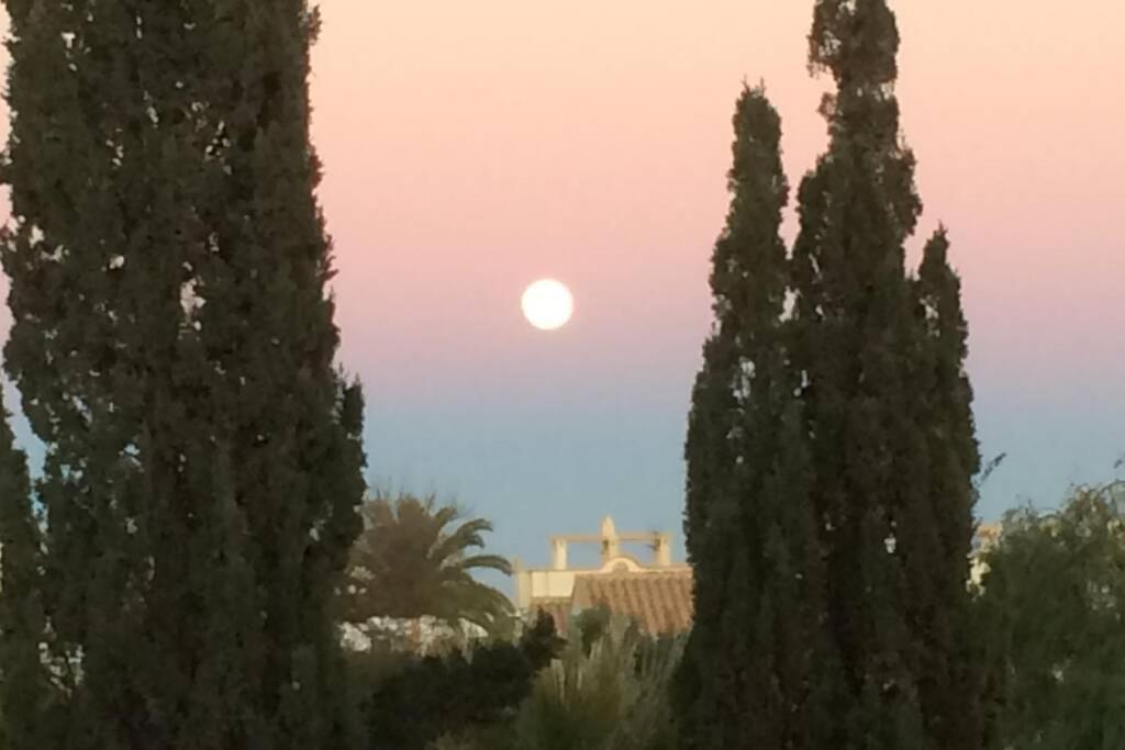 Privates Ferienhaus Villa De Paz - Costa Blanca Orihuela Eksteriør bilde